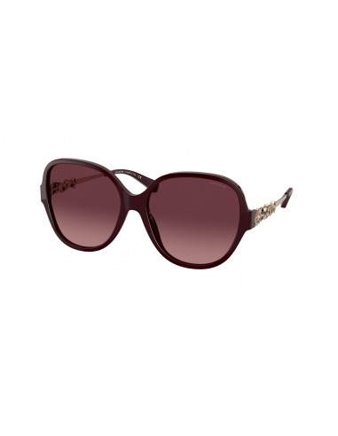 Coach L1164 8303B Sunglasses Par le système avancé 