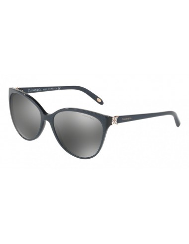 Tiffany 4089B Sunglasses meilleur choix