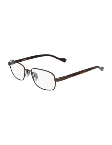 Flexon AUTOFLEX 117 Eyeglasses le des métaux précieux