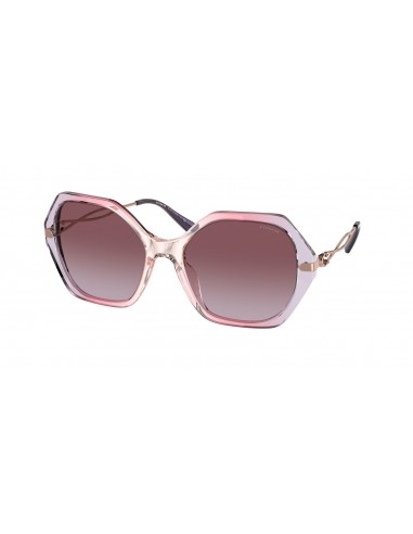 Coach C3445 8315 Sunglasses la livraison gratuite