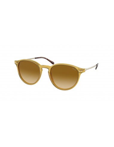 Polo 4169 Sunglasses de la marque