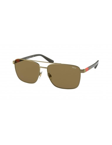 Polo 3137 Sunglasses les muscles